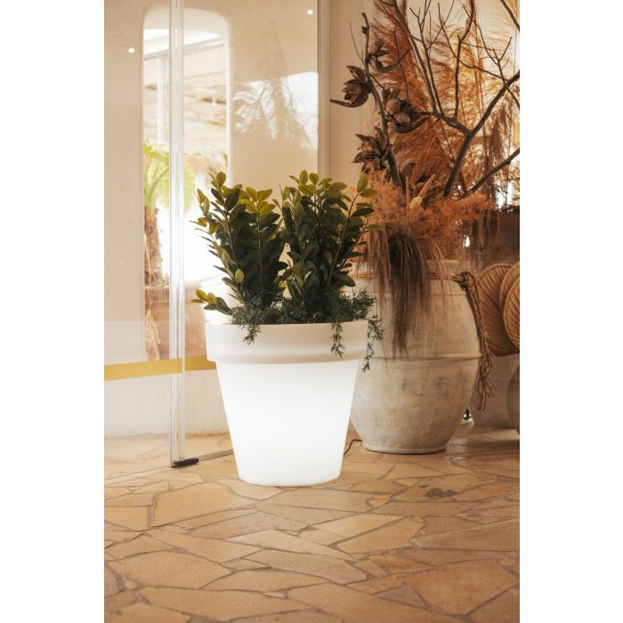 MAGNOLIA-3330-New Garden-251568