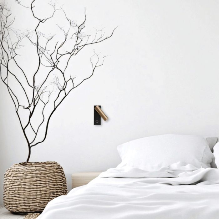 READING LIGHT-25282-Zambelis-263042