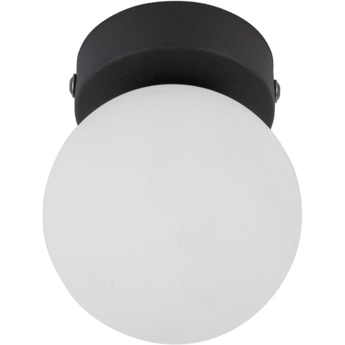 Mini-5613-TK Lighting-218304