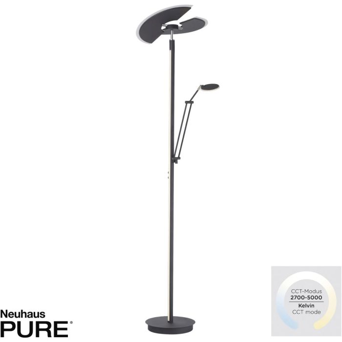 PURE-MUTIL-678-13-Paul Neuhaus-251292