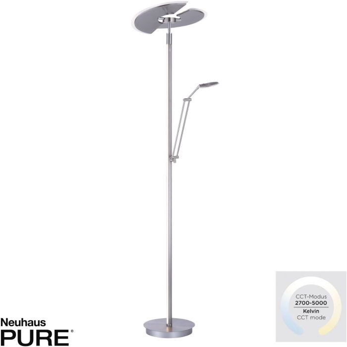 PURE-MUTIL-678-55-Paul Neuhaus-251293