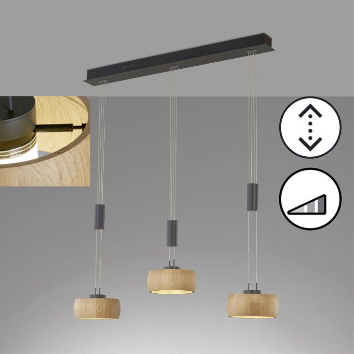 SHINE-WOOD-61093-Fischer&Honsel-224875
