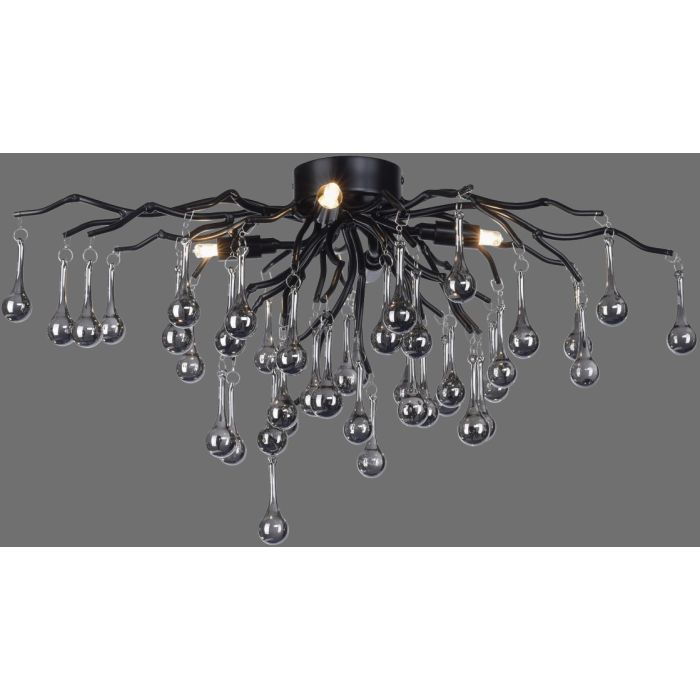 ICICLE-8090-18-Paul Neuhaus-250650