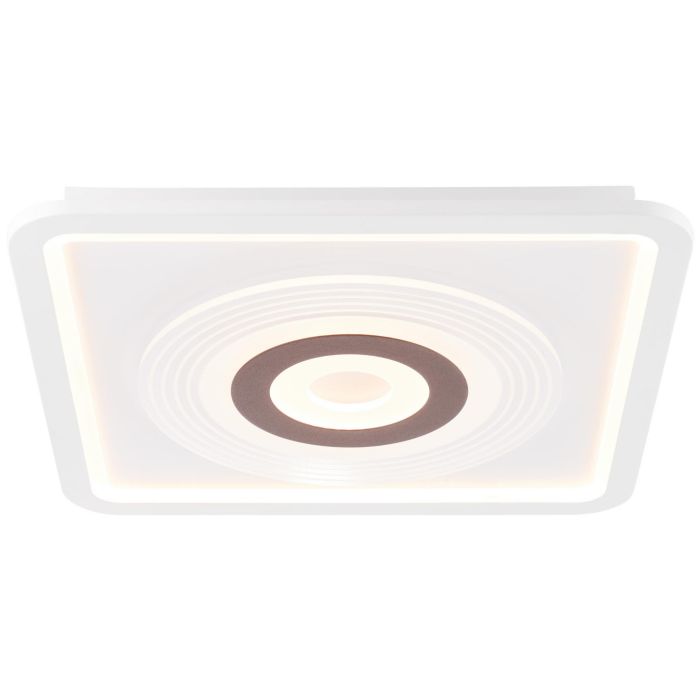 Jarev-G97187/75-Brilliant-212368