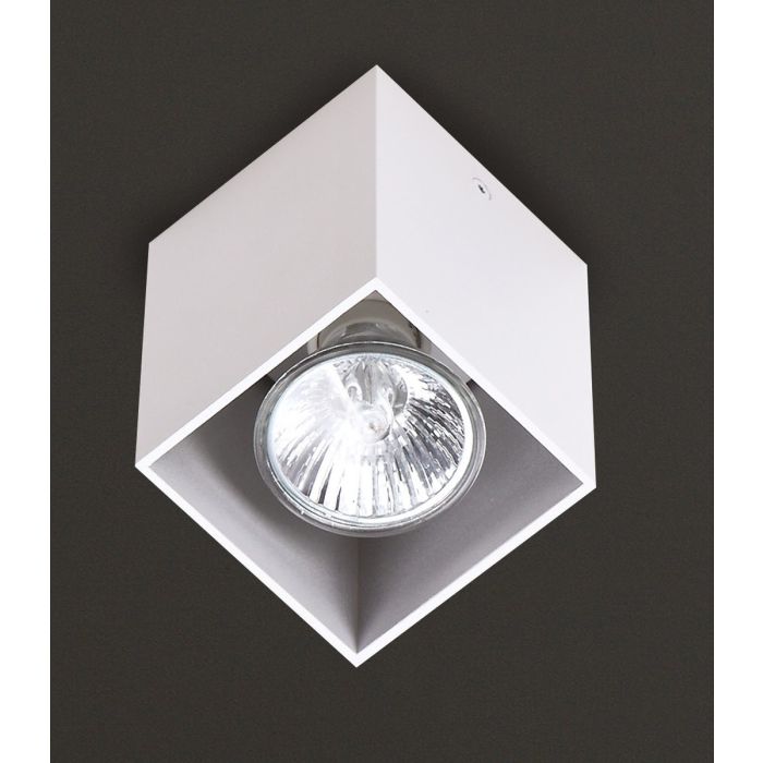 PET SQUARE-C0082-Maxlight-173526