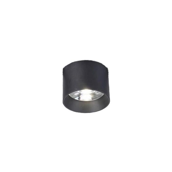 GAMMA DANIEL-AZ5309-AZzardo-213548