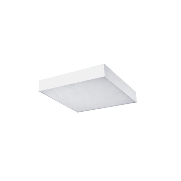 MONZA II S 50 WH-AZ3698-AZzardo-184778