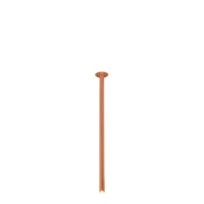 alha-9429-Antigo-230271