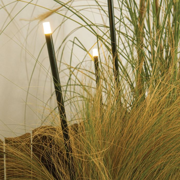 SPIKE LIGHT-E329-Zambelis-263306