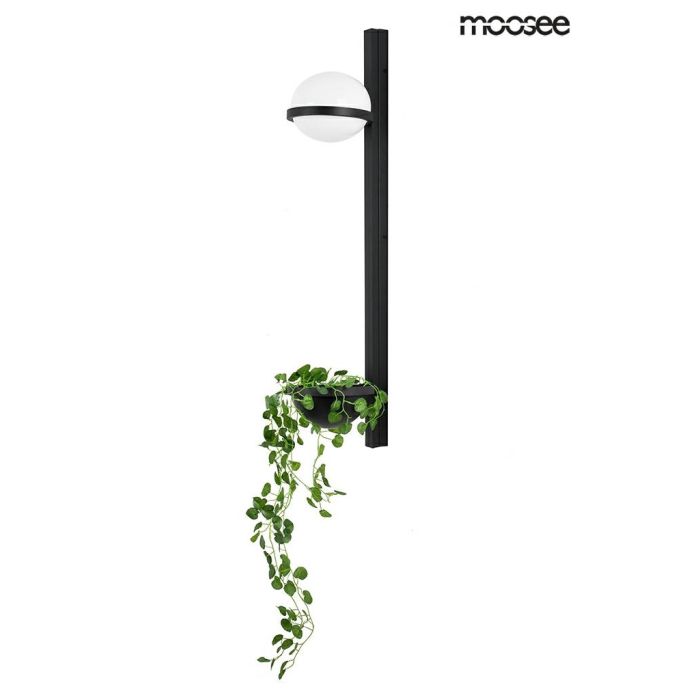 MOOSEE PLANT WALL-MSE010400222-King Home-208743