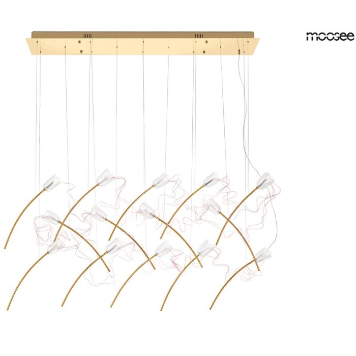 TULIPPE-MSE1501100169-King Home-252528