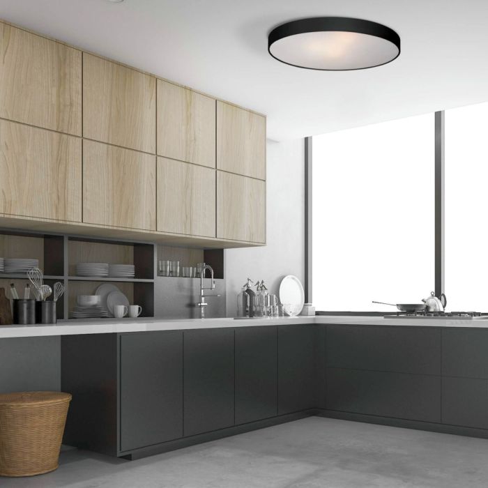 Rapido-LP-433/1C L BK-Light Prestige-225744