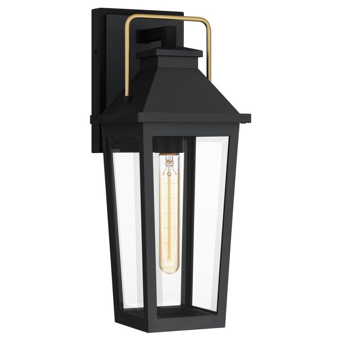 Buckley-QZ-BUCKLEY-M-MBK-Quoizel-246166