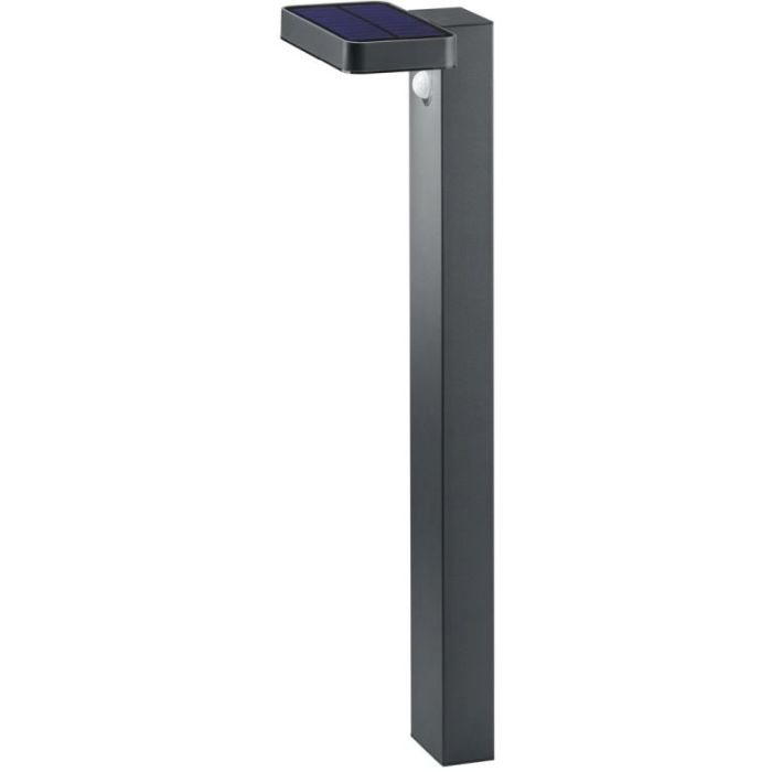 ESQUEL-R42261142-TRIO-241243