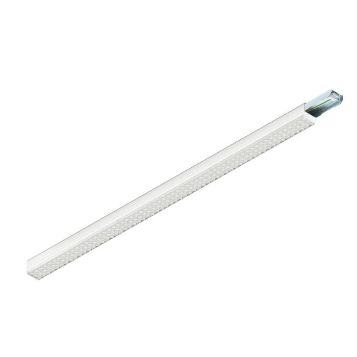 EASYLIGHT-1009207-SLV-253840