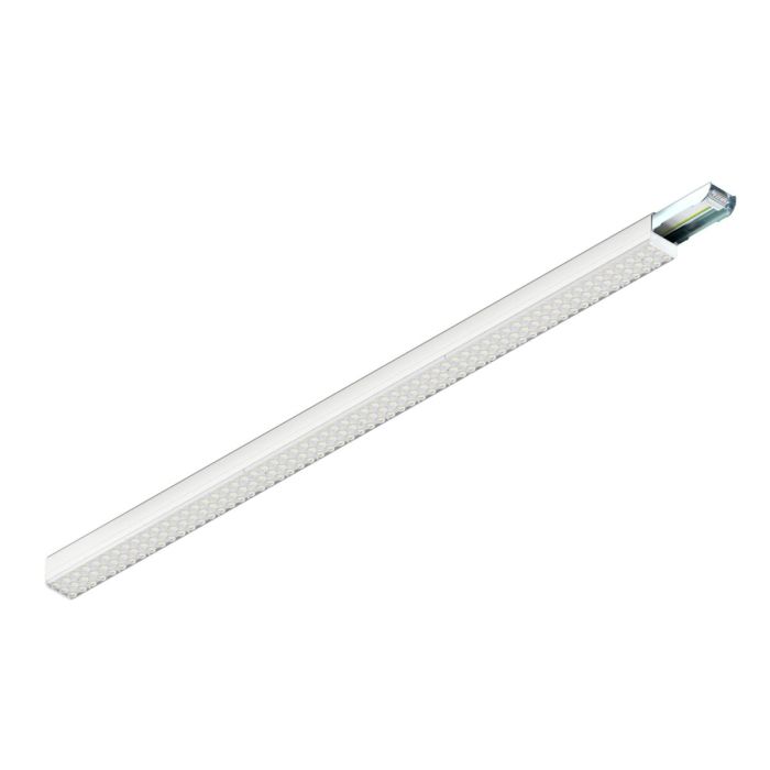 EASYLIGHT-1009215-SLV-253848