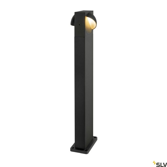LID-1007669-SLV-224223