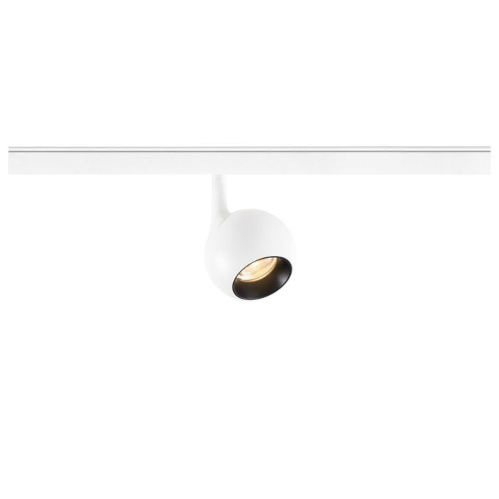 LIGHT EYE® 2.0 48V-1010457-SLV-254529