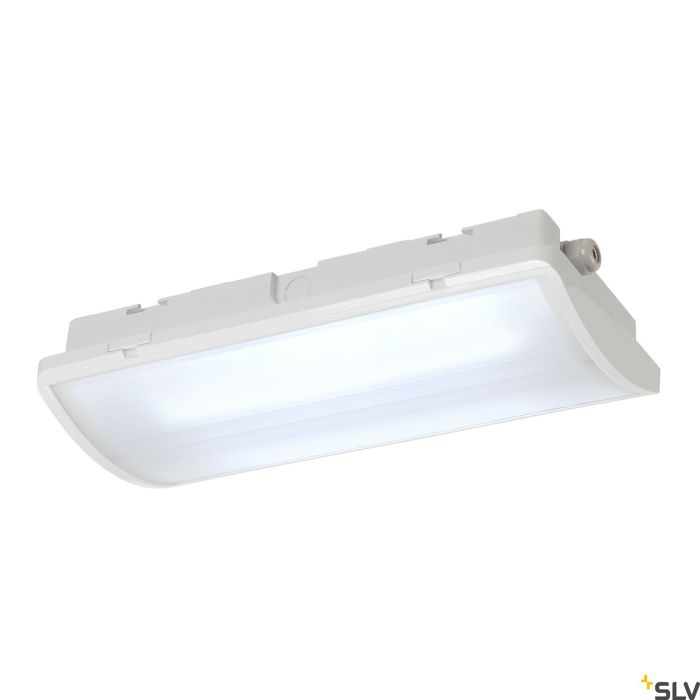 P-LIGHT-240004-SLV-122194