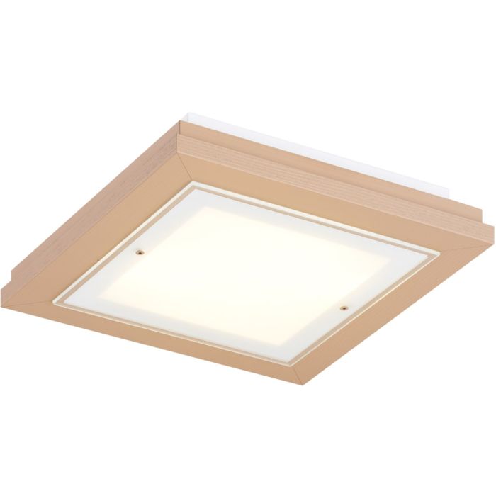 TABOR-1866-Argon-266909